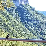 Tenuta Buonocore Hébergement de vacances Arola (Campania)