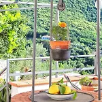 Tenuta Buonocore *