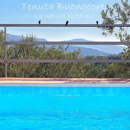 Tenuta Buonocore * Arola (Campania)