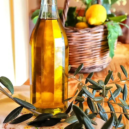 Tenuta Buonocore Holiday home Arola (Campania)